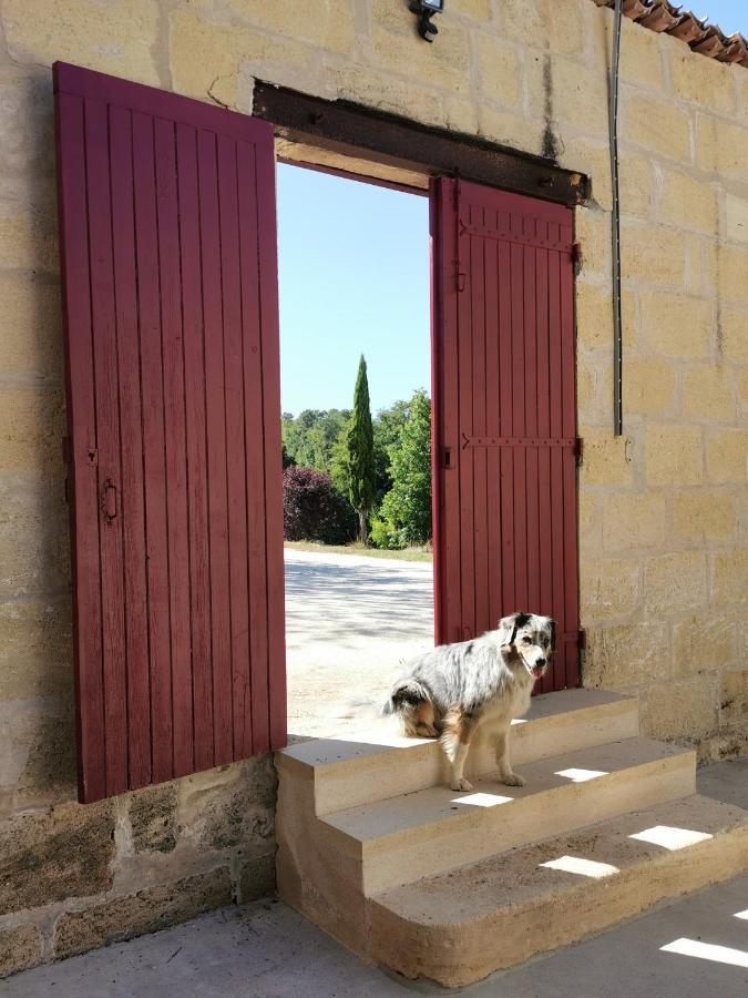 Gite De Charme Au Coeur De L'Entre-Deux-Mers Haux  Екстериор снимка